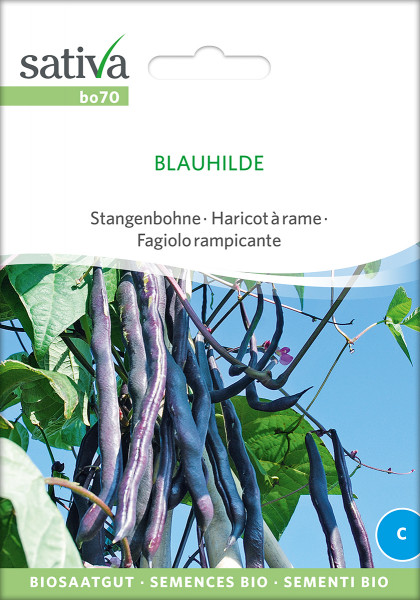 Stangenbohne BLAUHILDE (Biosaatgut)