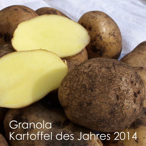 GRANOLA [vf] - die Kartoffel des Jahres 2014