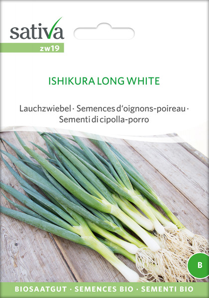 Lauchzwiebel - ISHIKURA LONG WHITE (Bio-Saatgut)