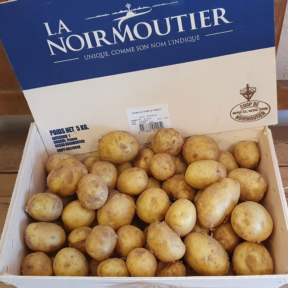 SIRTEMA [fk] frisch geerntet auf der Insel Noirmoutier TARTUFFLI