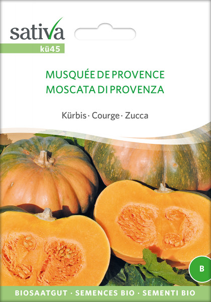 Kürbis - Muskatkürbis - 'MUSQUE DE PROVENCE' (bio)