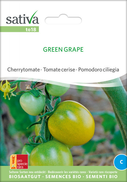 Freilandtomate GREEN GRAPE (Bio-Saatgut/PSR)