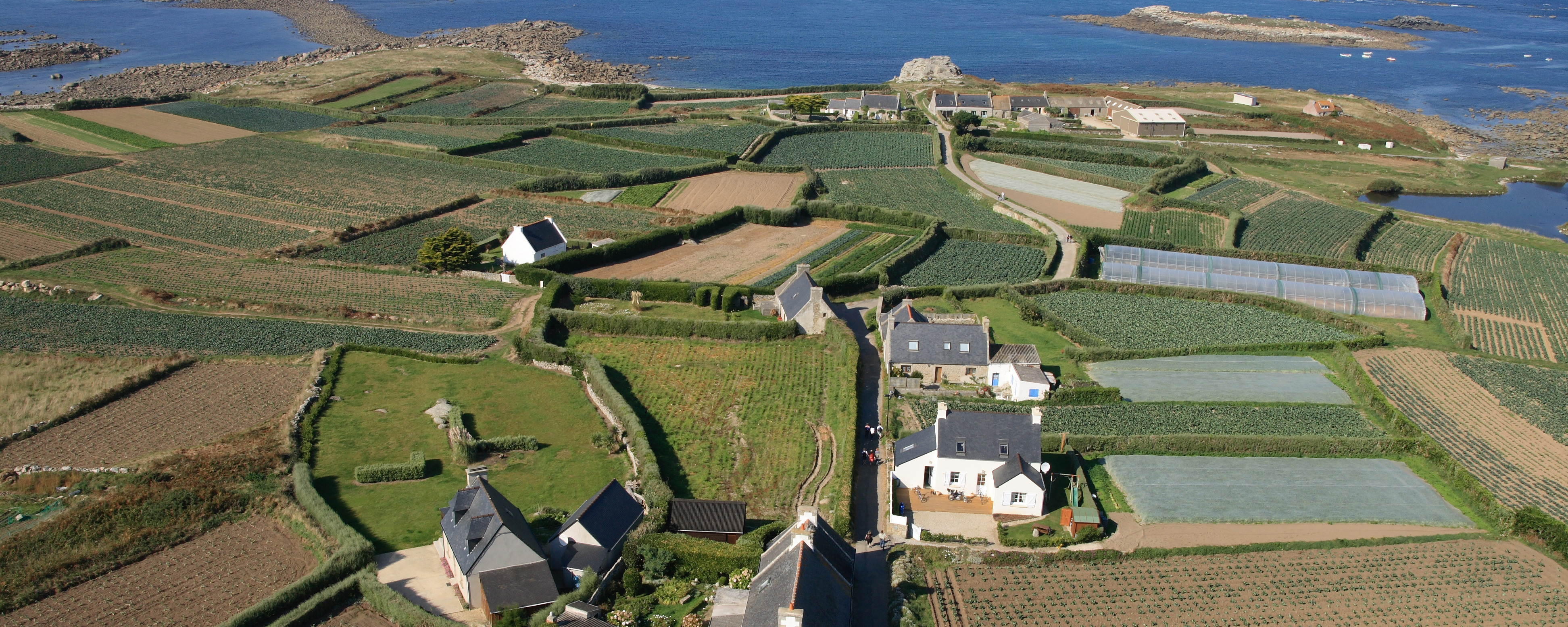 Ile de Batz (Bretagne)
