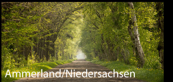 Niedersachsen