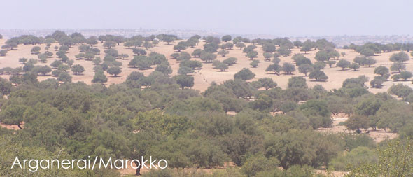 Arganeraie