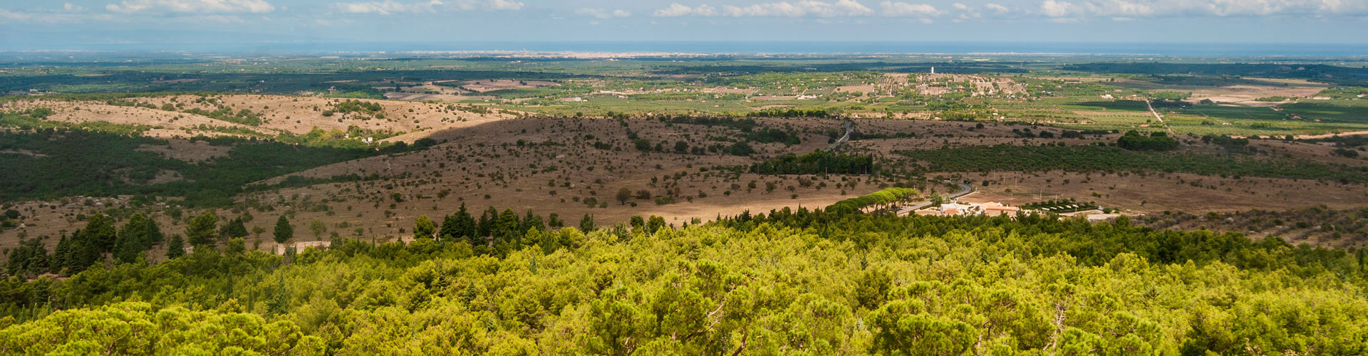 Terra di Bari