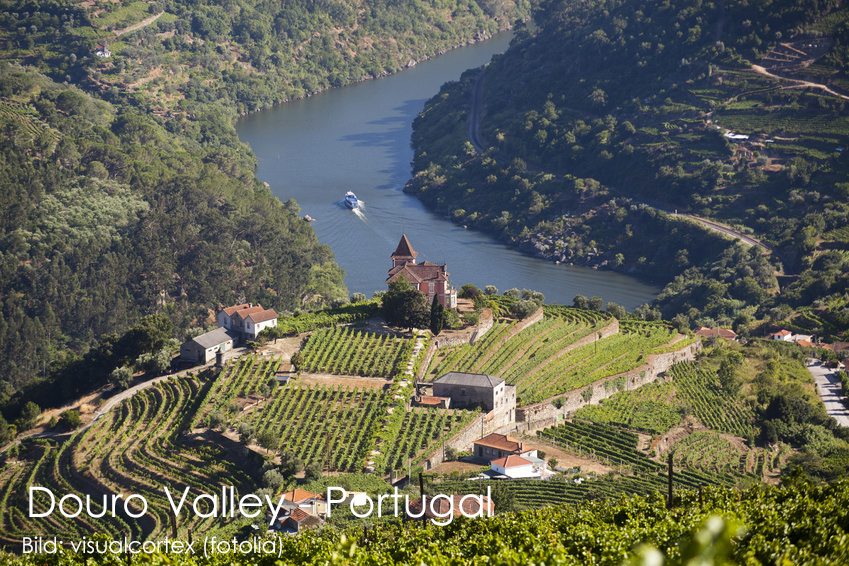 Alto Douro