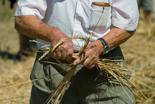 Katalonien (Catalunya)