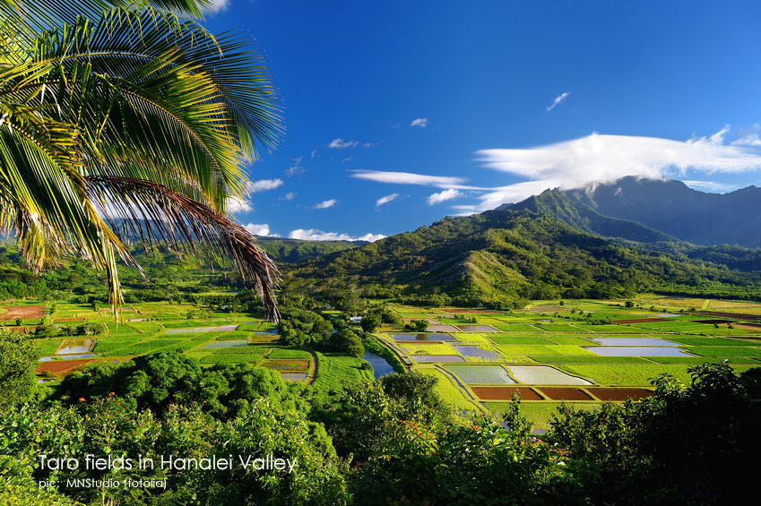 Hawaii