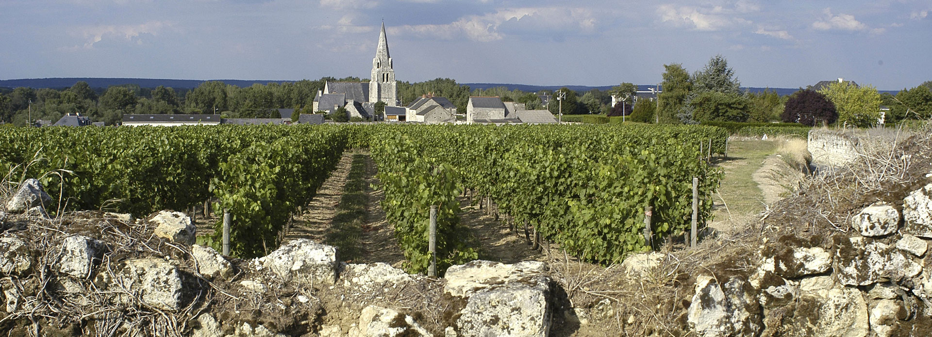 Département Indre-et-Loire