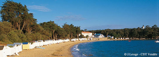La Bonnotte de Noirmoutier