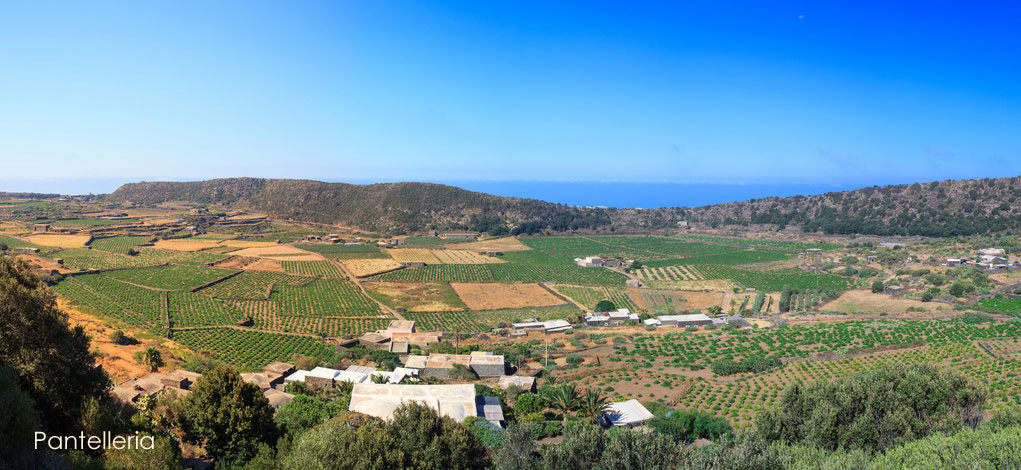 Pantelleria