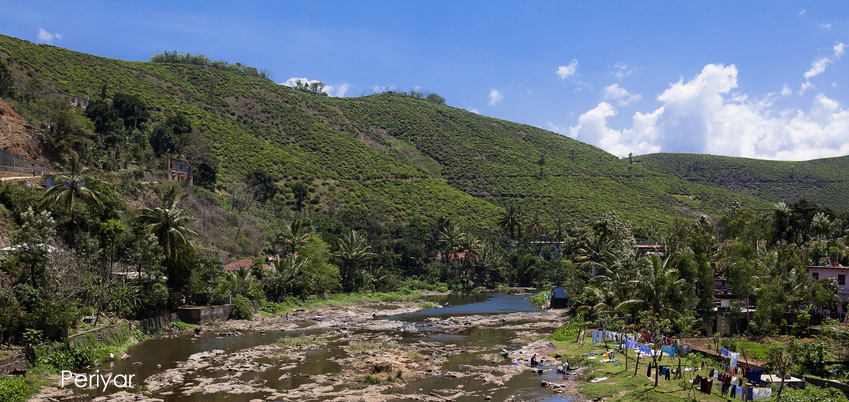 Natural Harvest - Periyar-Tigerreservat/Kerala