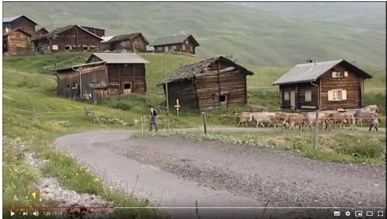 Andeer ist anders - Biokäse - Martin Bienerth - Trailer