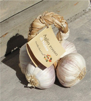 Aglio Rosso - Roter Knoblauch aus Nubia - Sizilien