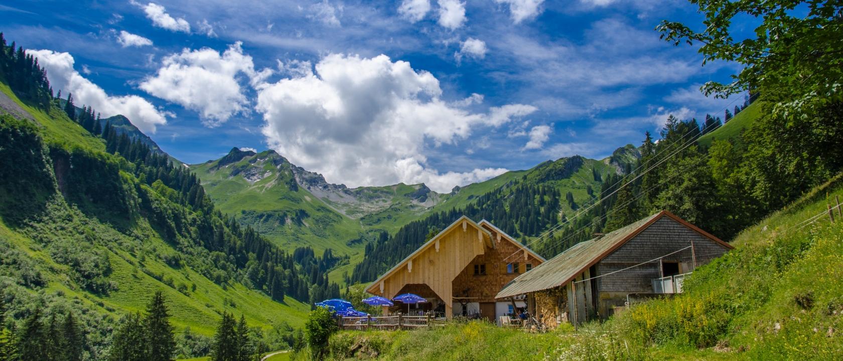 Obertaler Laufbichelalp