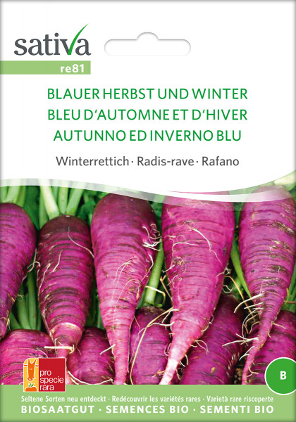 Rettich BLAUER HERBST UND WINTER (Bio Saatgut/PSR)