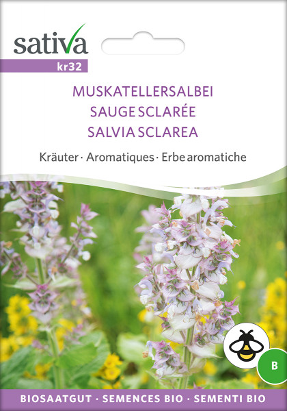 Muskatellersalbei (demeter-Biosaatgut)