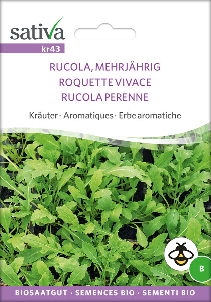 Wilde Rauke - Rucola, mehrjährig (Biosaagut)