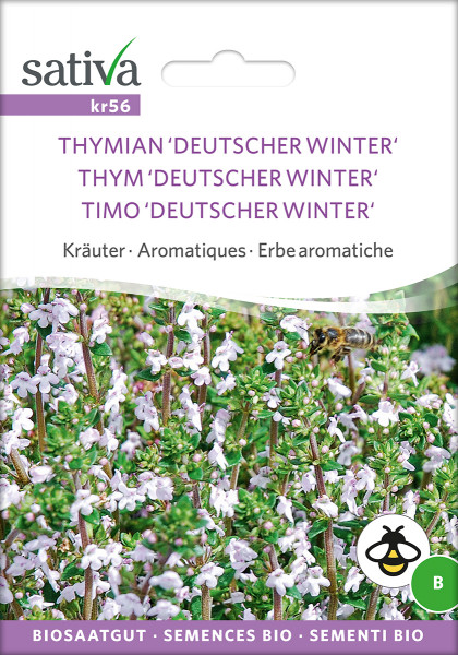 Thymian - Deutscher Winter (BIO-Saatgut)