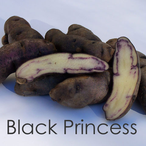 Black Princess [vf]