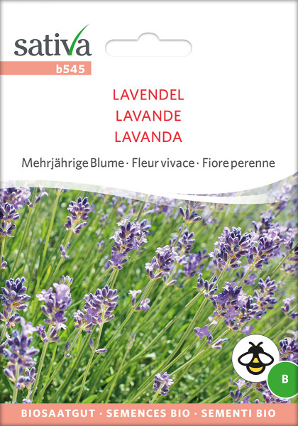 Lavendel (Bio-Saatgut)