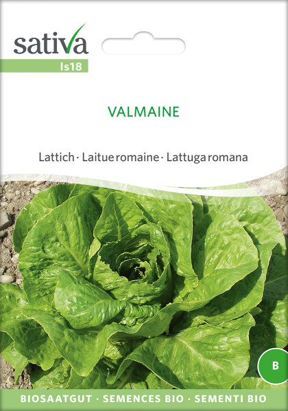 Romanasalat 'VALMAINE' (demeter Biosaagut)