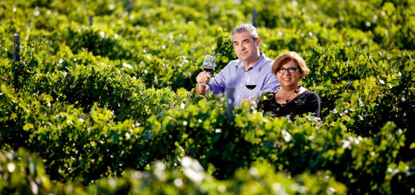 Maggio Vini