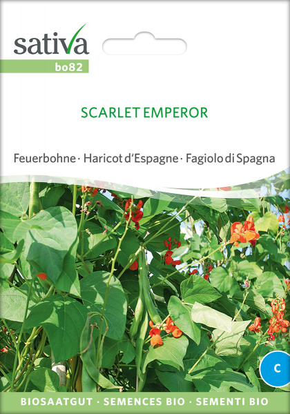 Feuerbohne SCARLETT EMPEROR (Bio-Saatgut)