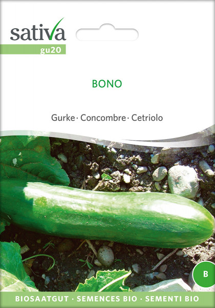 Freilandgurke Bono (Bio-Saatgut)