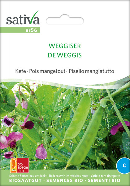 Zuckererbse 'WEGGISER' (Bio-Saatgut/PSR)