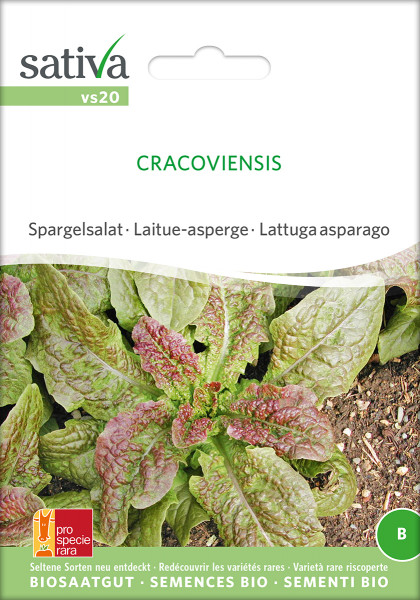 SPARGELSALAT Cracoviensis (demeter Biosaagut /PSR)