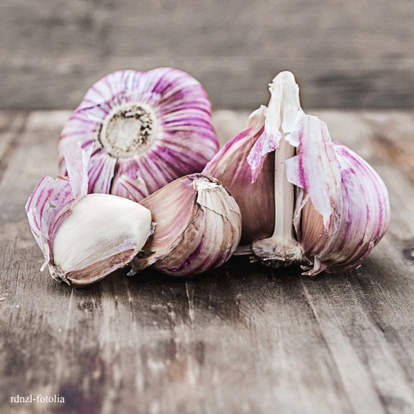 lila Knoblauch aus Südfrankreich · Ail Violette Cadours · (300g)