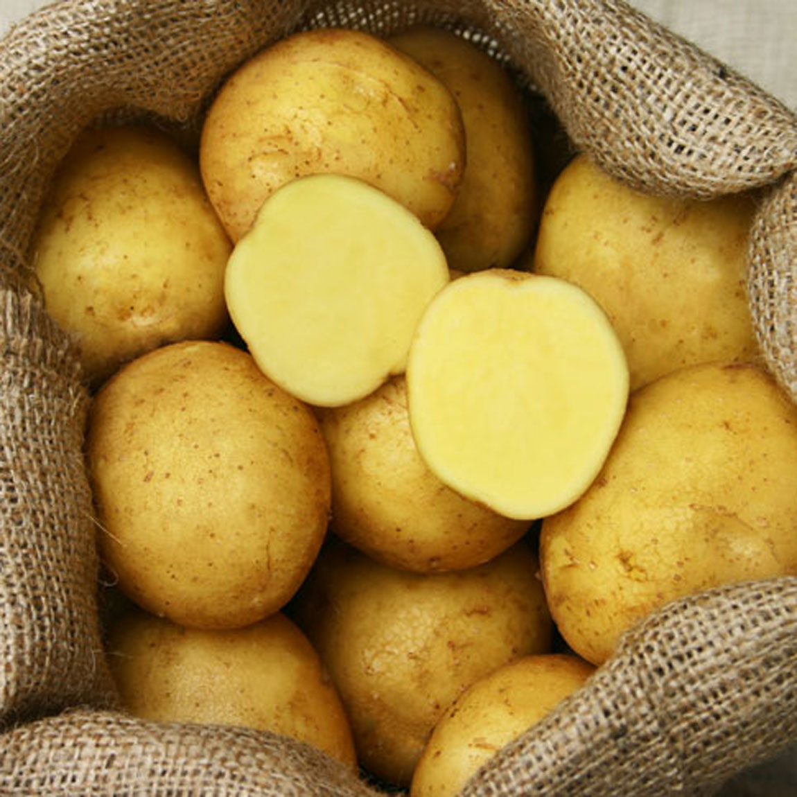 ADRETTA Bio aus der Heide TARTUFFLI