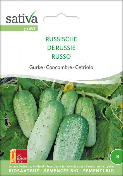 Russische Gurke (demeter-Bio Saatgut)