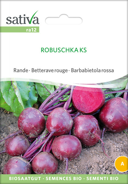 Rote Rüben 'ROBUSCHKA'