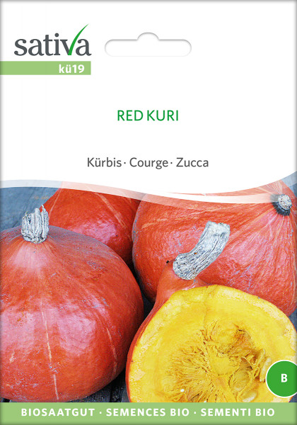 Kürbis 'RED KURI' (demeter)