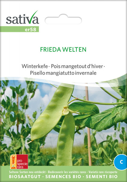 Wintererbsen/Kefen FRIEDA WELTEN (Biosaatgut/PSR)