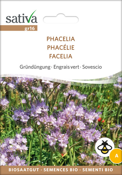 Phacelia (Bienenfreund) Gründüngung & Bienenweide