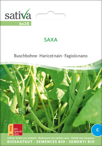 Buschbohne 'SAXA' (Saatgut - demeter)