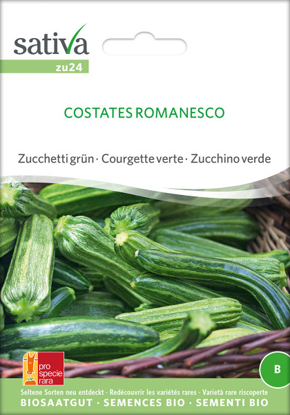 Zucchini COSTATA ROMANESCO (Bio-Saatgut) PSR