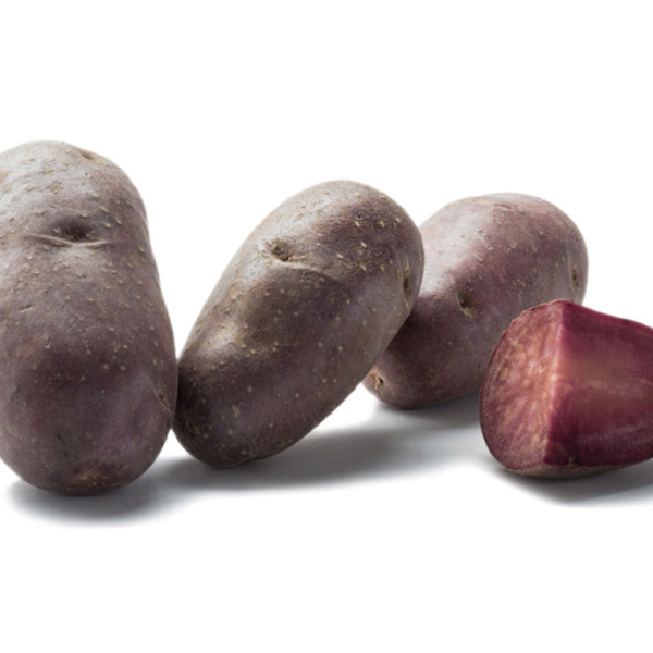 Lily Rose[fk] von der Somme