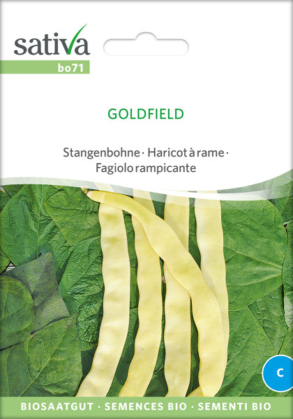 Stangenbohne Goldfield (Bio-Saatgut)