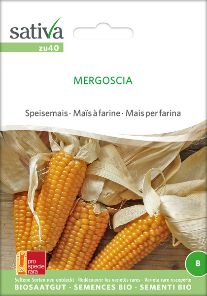 Mais, Speisemais MERGOSCIA (demeter-Biosaatgut/ PSR)