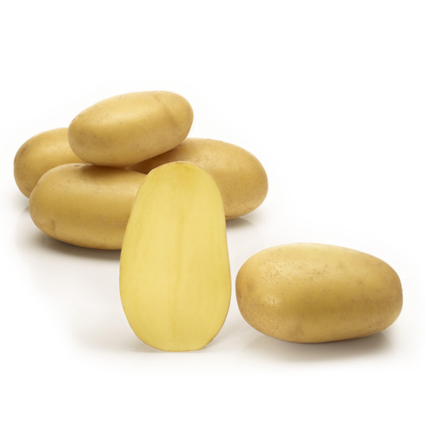 Pflanzkartoffeln Queen Anne [vf] (bio) - zertifizierte Saatkartoffeln