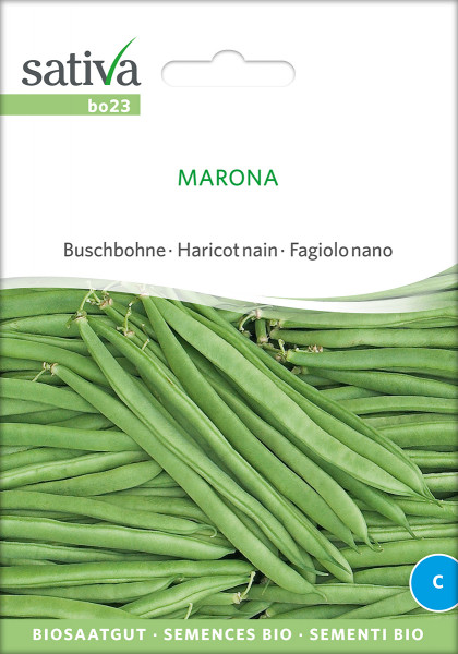 Buschbohne 'MARONA' (demeter-Biosaatgut)