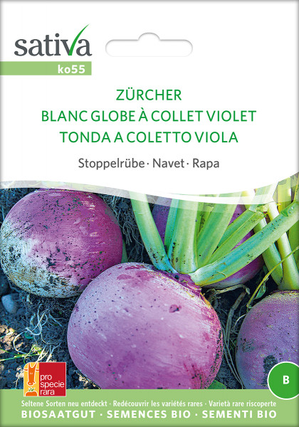 Navet ZÜRCHER, Stoppelruebe (Biosaatgut)