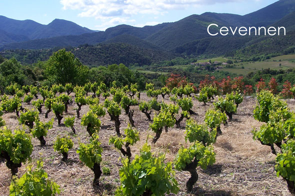 Cevennen