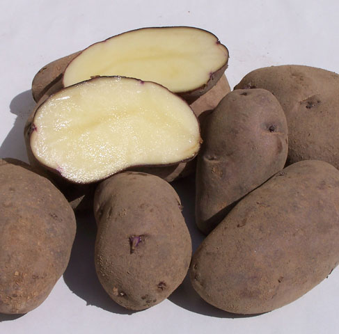 Kepplestone Kidney [fk] TARTUFFLI