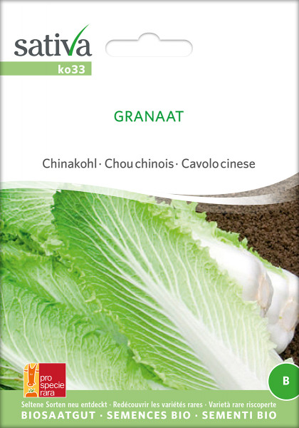 Chinakohl - Granat (demeter-Saatgut /PSR)